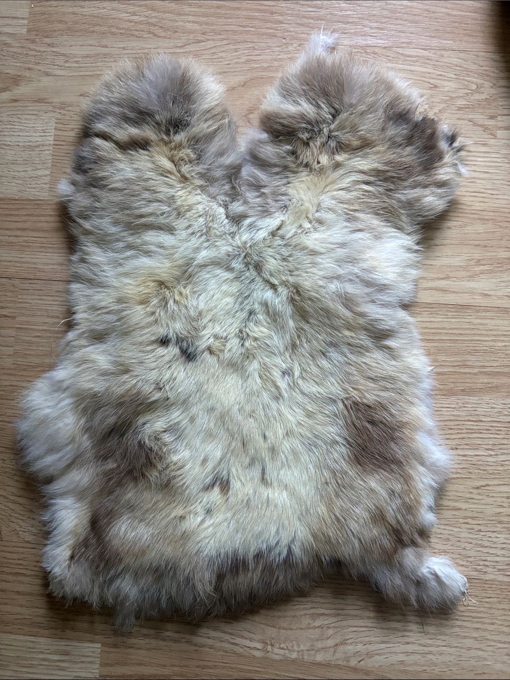 B0197 rabbit pelt